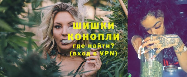 apvp Белокуриха