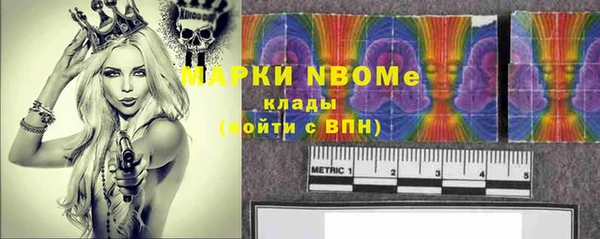 соль ск Богородицк