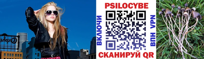Галлюциногенные грибы Psilocybine cubensis  мориарти телеграм  Михайловск 
